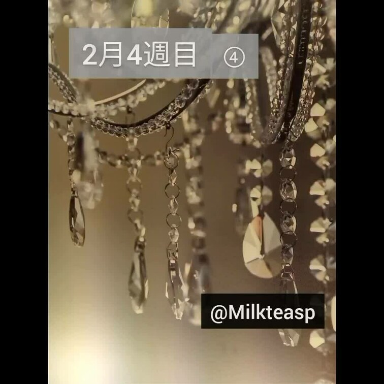 2月4週目④