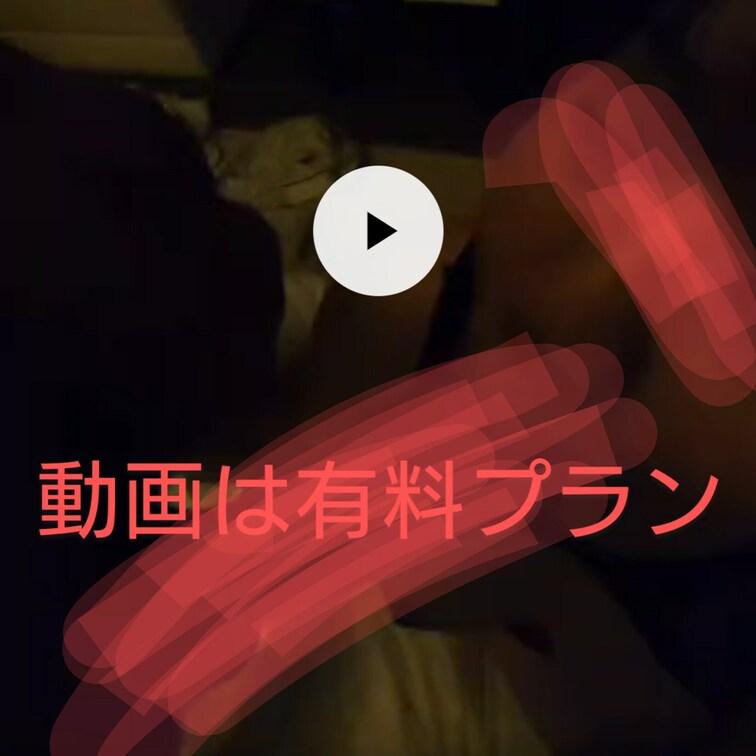 動画は有料プランにあります✨