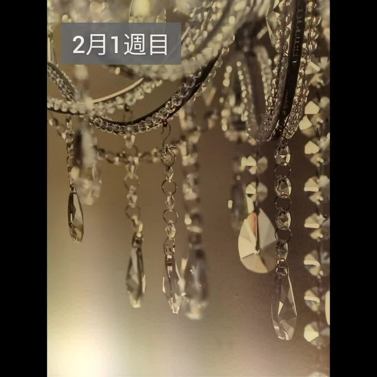 2月1週目