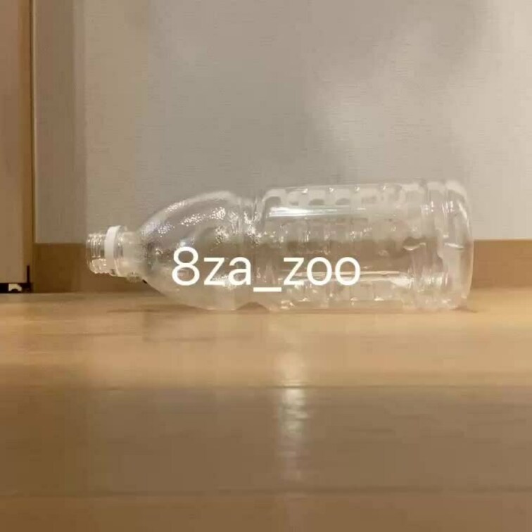 ペットボトル踏んでみた🫢