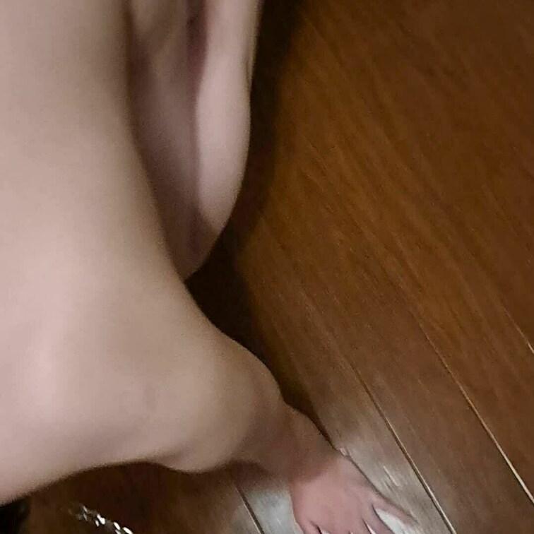 室内飼いしてます