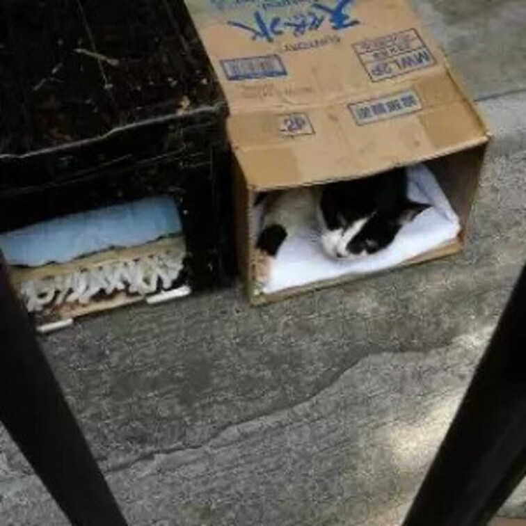 オレの家