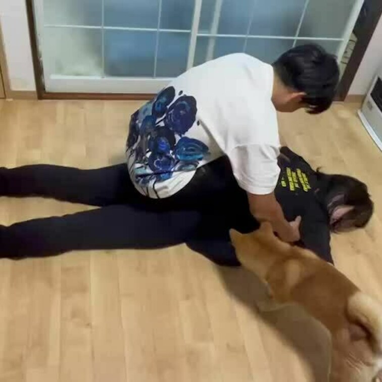 皆様いつもご購入ありがとうございます☺️
今回のくすぐり動画はこちらです👍

是非見てあげてくださいね(  ˆОˆ