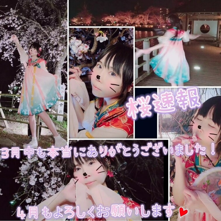 撮れたて桜撮り速報🌸3月中もたくさんありがとうございました！大好きです♥️今月もよろしくお願いします(♡ᴗ͈ˬᴗ͈)ﾍﾟ