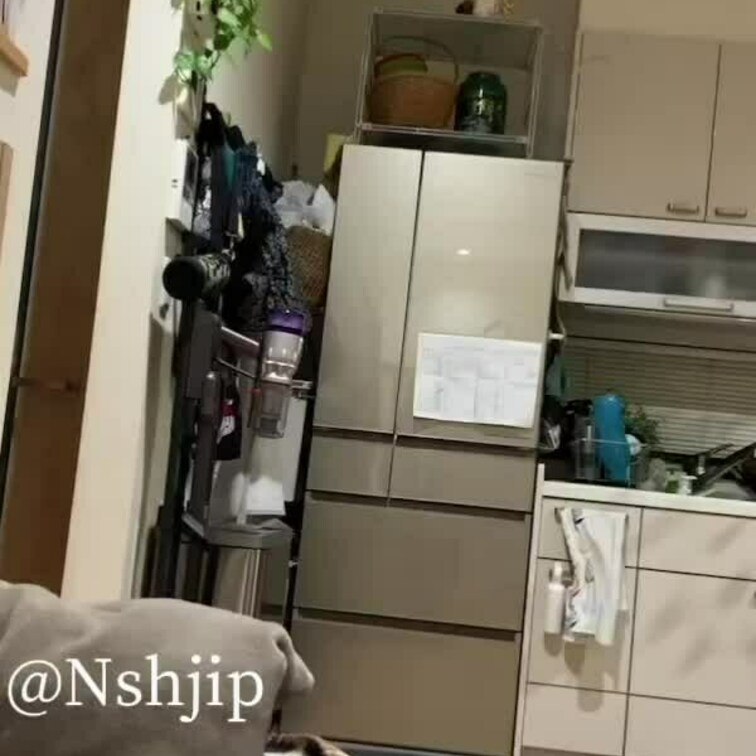 愛妻M💕のお風呂上がりの動画です💓
おっぱい丸出しで歩いてます😍
短いですが覗き見🫣お願いします🩷