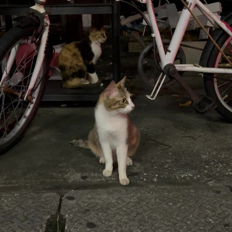 やまなかあ