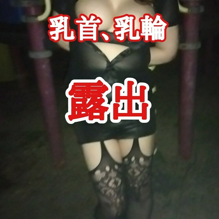 遊具の前で
乳首、乳輪を露出
乳首を摘んであげる
電車が通り過ぎる
夜の公園