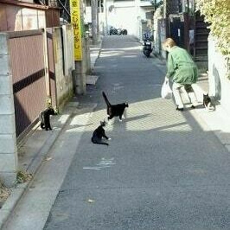 お○○○さんお○○○さんお○○○さん!
