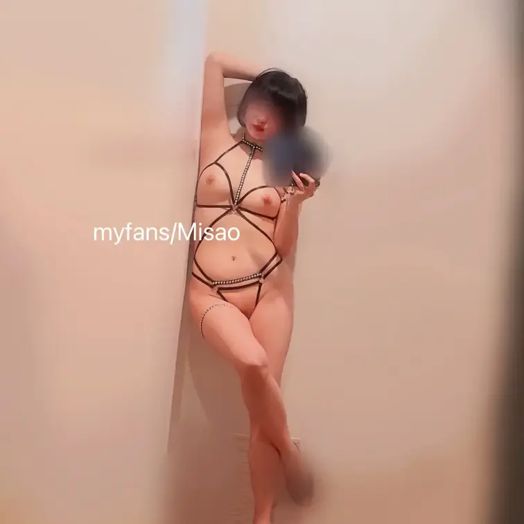 お久しぶりになります。
新しいハーネス、おもちゃを迎えました。
良かったらお楽しみください。