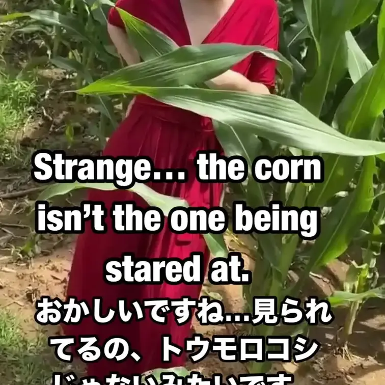 ただ葉っぱを見てただけなんですよ…それだけ…ですよね？