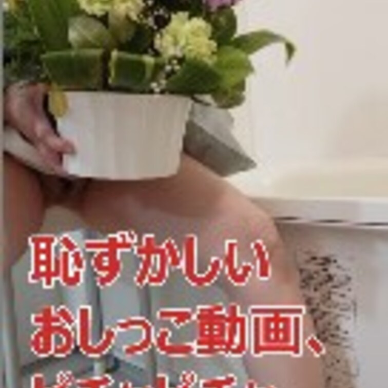 初めてのおしっこ動画・・・恥ずかしいけどアダルトならクリアーするべき通り道かな？なんて、考えすぎ？おっちょこちょい❔

