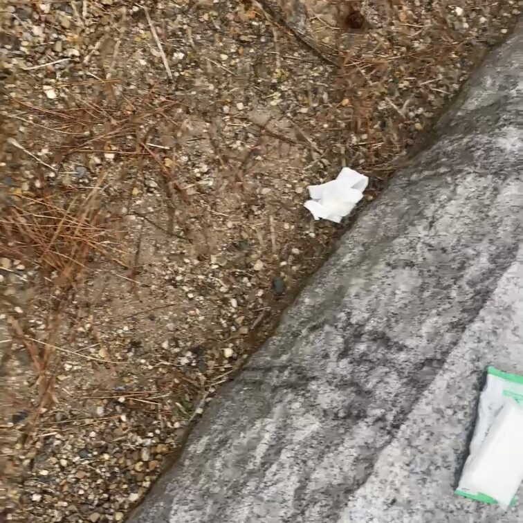 むふふ(*´艸`)