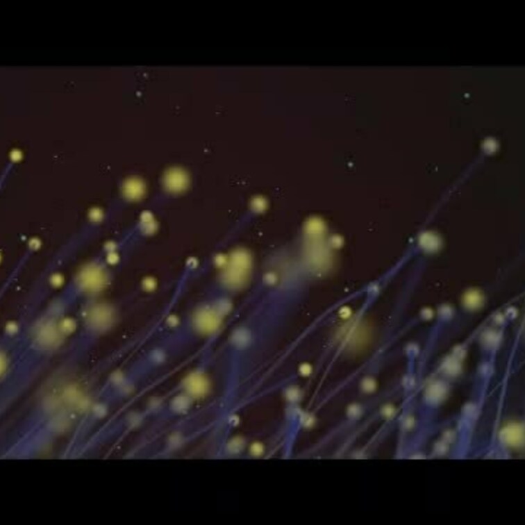 【ご協力】仲良しさんと中出しハメ撮り♡【感謝！】

ちょっと長めの動画です（*´∀｀*）
定置カメラとスマホで撮っ
