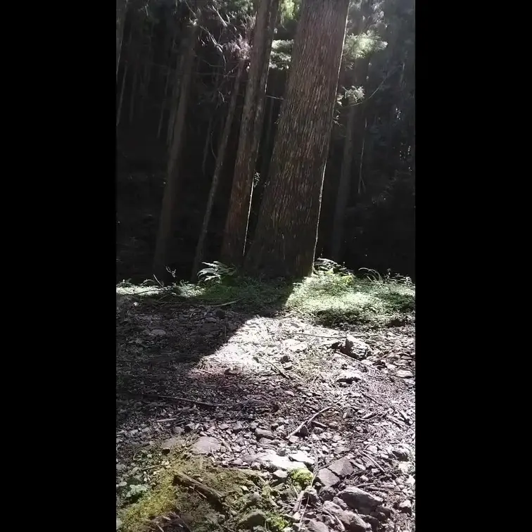 山の中でも全裸露出でご褒美もらって道中での駐車場でも全裸露出してご褒美もらってオ〇ニーとご褒美集です(^^♪