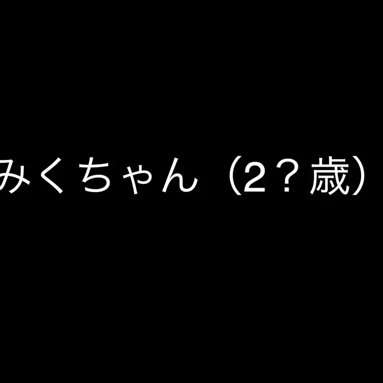 ミクちゃんに新しいおもちゃをwww
最近エロさが増して、撮影中に3Pしてみたいと