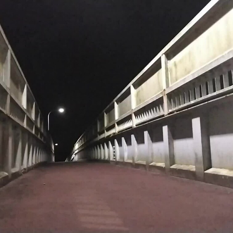 夜の歩道橋で遊びました～(^^♪