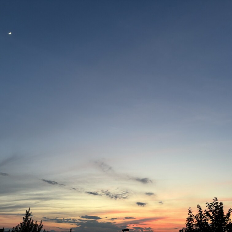 みんなたち!今日の夕方の空みたかな?細い月と夕焼けがマリアージュしてたよ!🌇オレンジと水色のグラデーションて、心がギュッ