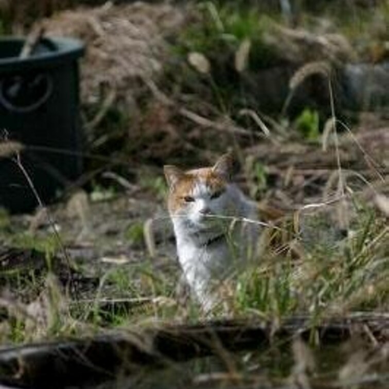 笹塚と方南町のあいだ