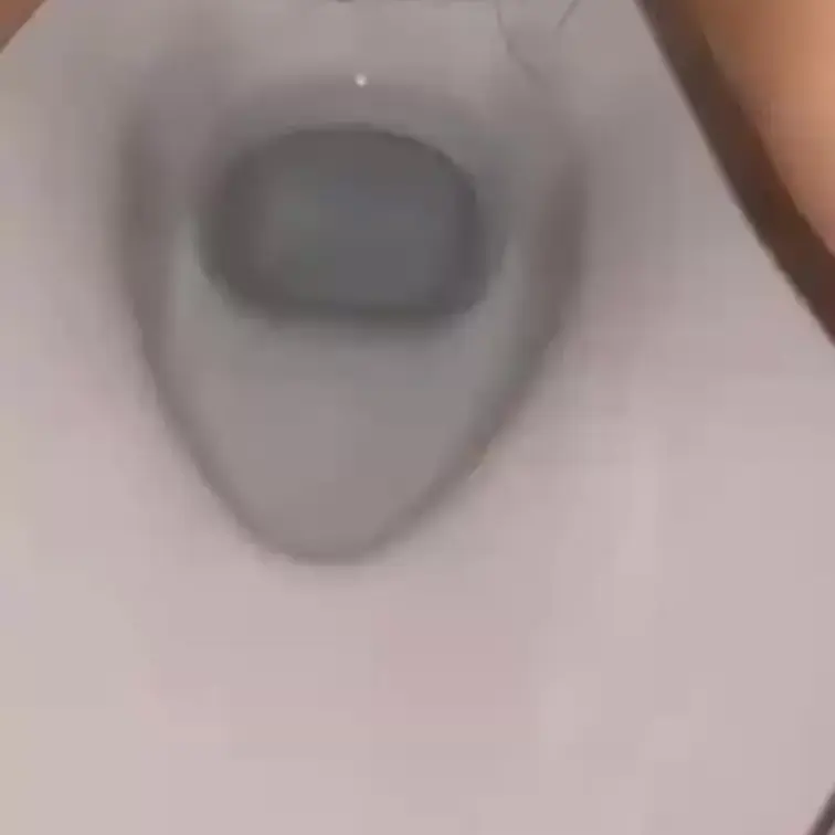今日のぽぽぽのおしっこ🥰
