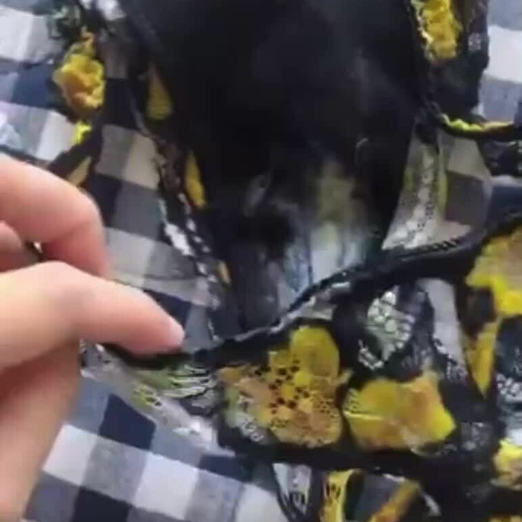 今日のパンツです🥰🥰
おりものヌルヌル🥰