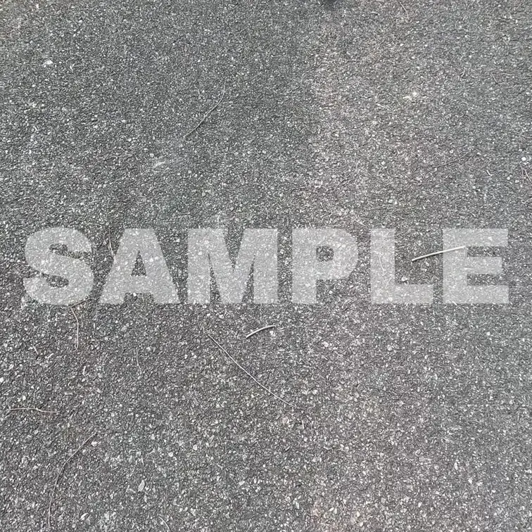 真冬のクソ寒い日に芝生広場で露出散歩した時のサンプル動画です。
