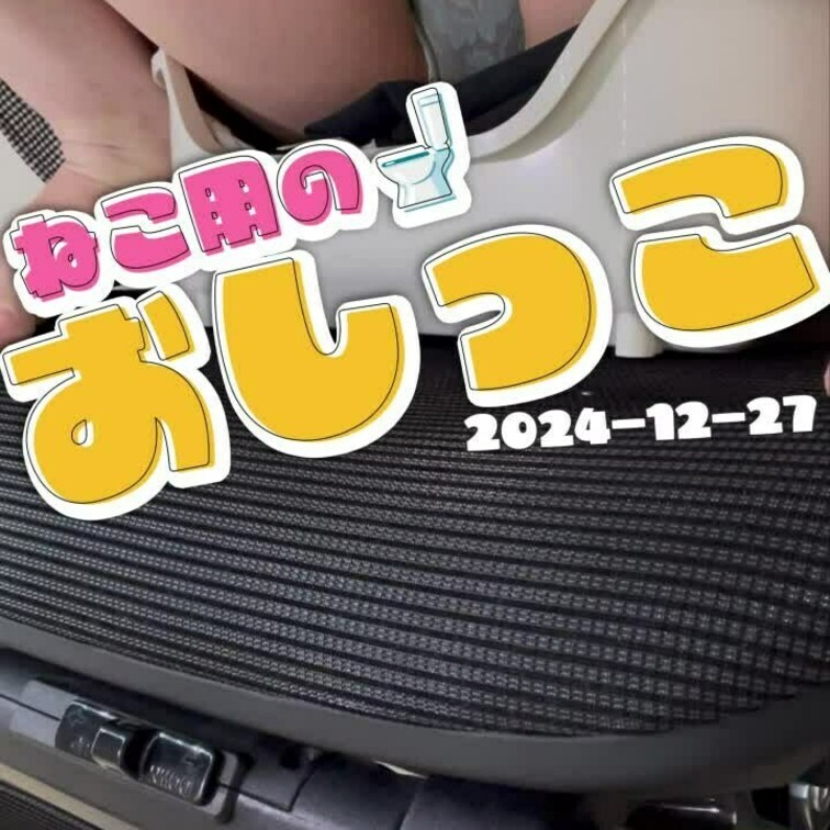 024-12-27
▶猫用の🚽におしっこ◀
夏によく着ていたお洋服をネコ用🚽に敷いておしっこ我慢配信してました！！
