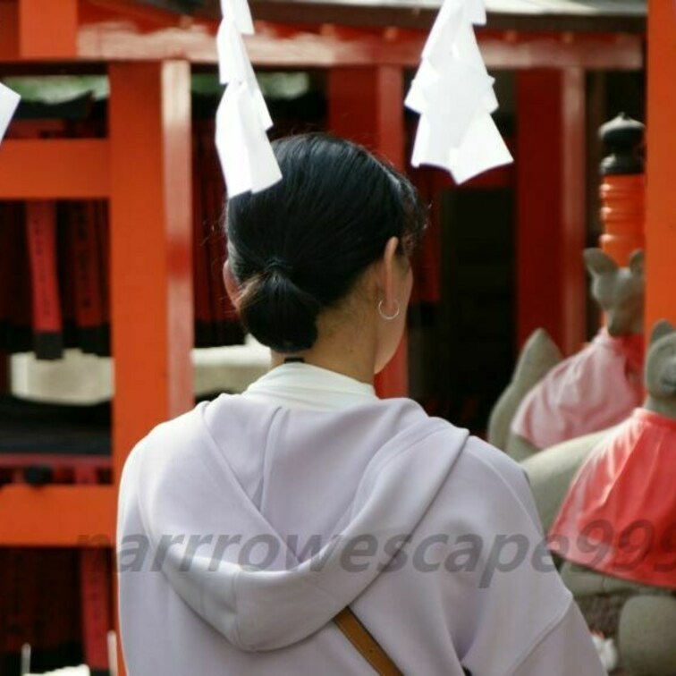 長らくお休みしておりましたが、少しずつですが復帰できそうです。