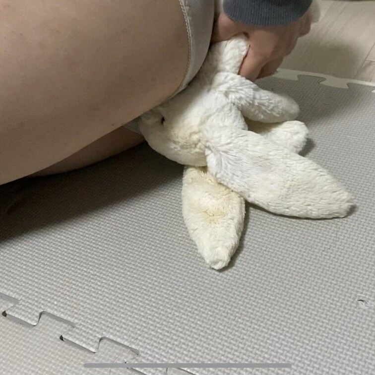 再びうさちゃん😣