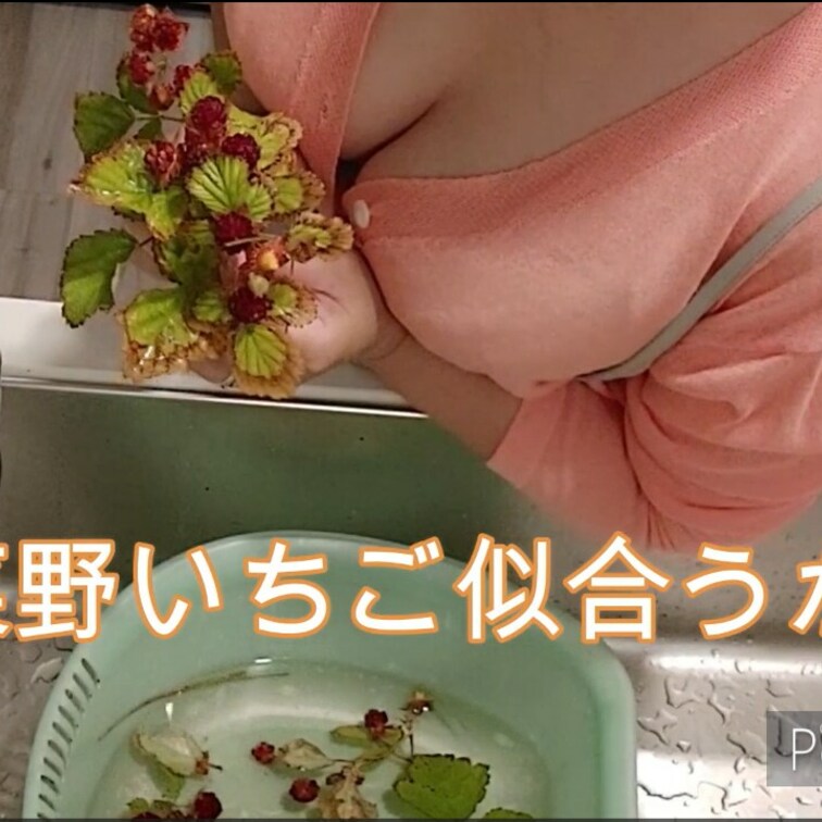 イチゴ山菜採り入浴シーンあり遊び心頑張ってた頃の動画
