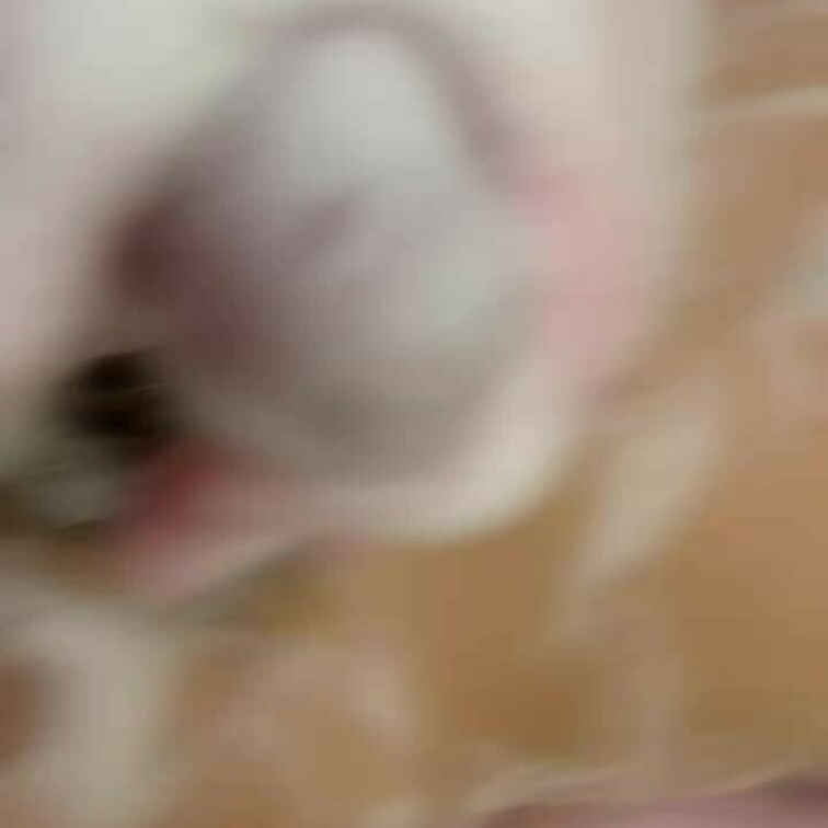 泡泡ちんちん