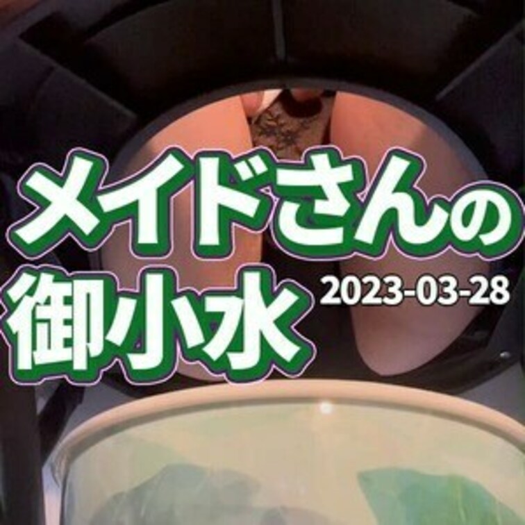 💛メイドさんの御小水💛
(3月28日分動画)
メイドちゃんのお花摘みがのぞき見できちゃう💕
この動画は、BLACK