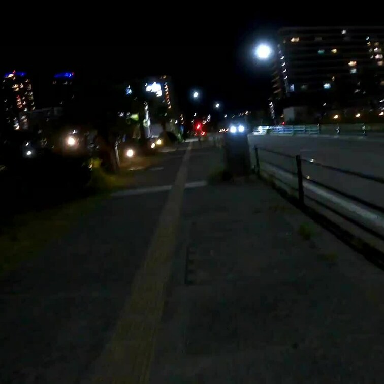 人妻さんを夜の公園ト◯レへ連れ込むシーン。。　このシーンがあるのと無いのでは臨場感が違いますよね。