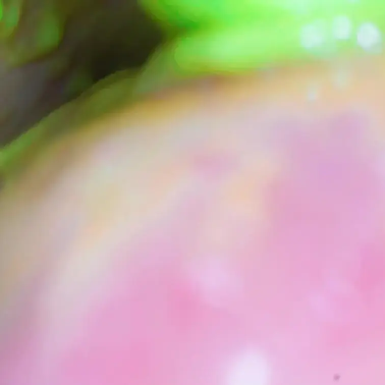 みつきちゃんのマクロ探究=食事編=
みつきちゃんの食事~歯磨き~涎垂らしまでを接写いたしました!
チョコが溶けていく様子・グミやお菓子が咀嚼されていく様子…
ドロドロになったおくちの中…お楽しみください。
00:30~ ①チョコ
03:50~ ②ホワイトチョコ
06:55~ ③グミ呑みチャレンジ
08:25~ ④グミ咀嚼
10:20~ ⑤スナック
13:35~ ⑥ガム
15:25~ ⑦パチパチ
18:30~ ⑧息吐きかけ
20:40~ ⑨歯磨き観察
23:30~ ⑩涎垂らし
35:40~ ⑪EXスロー撮影
全⑪シーン収録!