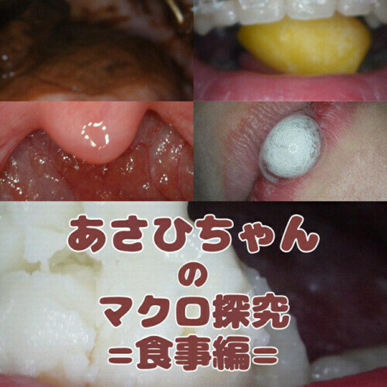 あさひちゃん=食事編=🍩
あさひちゃんの食事~歯磨きまでをマクロ撮影にて接写いたしました、お菓子溶けていく様子・咀嚼されていく様子をお楽しみください。
※今回はスローメインで撮ってみました。
01:00~ 食べ観察(ホワイトチョコ)
04:10~ 食べ観察(咀嚼)
07:15~ 食べ観察(パチパチ)
10:30~ 食べスロー観察(チョコレート・アイス・グミ)
38:40~ 息吐きかけ
39:10~ 歯磨き観察
42:00~ 唾洗浄 (1/2)