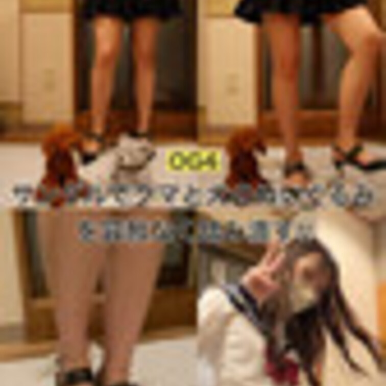 OG4【リクエスト④】サンダルヒールでクマと犬のぬいぐるみを容赦なく踏み潰す‼︎