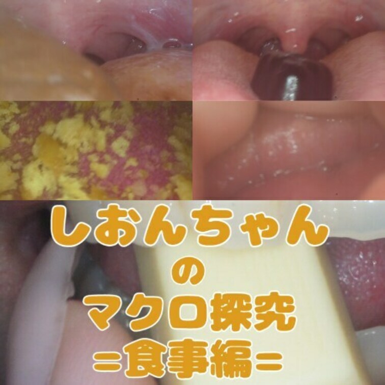 しおんちゃんのマクロ探究-食事編-🔰
🍰しおんちゃんの普段見られない食事中の口の中(舌・歯・喉・のどちんこ等)の様子をマクロカメラにて撮影、他にもスローカメラなどを使い普段見られないようなマクロな瞬間の撮影。
チョコレートやグミやお菓子など、咀嚼中のおくちの中を内視鏡のように隅々まで探究しちゃいました!
※内容は全て主観や接写によるものです。
収録内容
①食べ観察(ホワイトチョコ) 00:25~
②チョコレート🍫 03:40~
③グミ🦠 07:35~
④お菓子咀嚼🍪 10:40~
⑤パチパチ🎇 13:45~
➅スロー撮影 17:30~
⑦息吐きかけ 24:45~
⑧ちゅぱ撮影 27:00~
⑨唾洗浄 29:22~
研修撮影中🔰のものなので 500円割引中です。
uvula
saliva
tongue
mouthcam
endoscope (1/2)