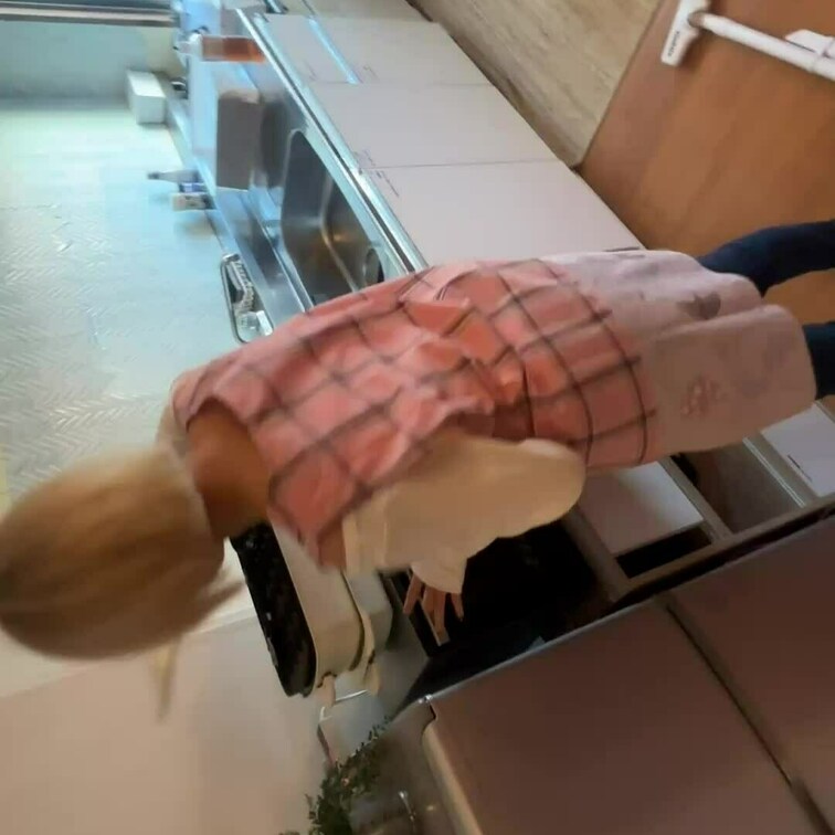 斬新すぎるかくれんぼ🤣
いたずらっ子なんだから～www