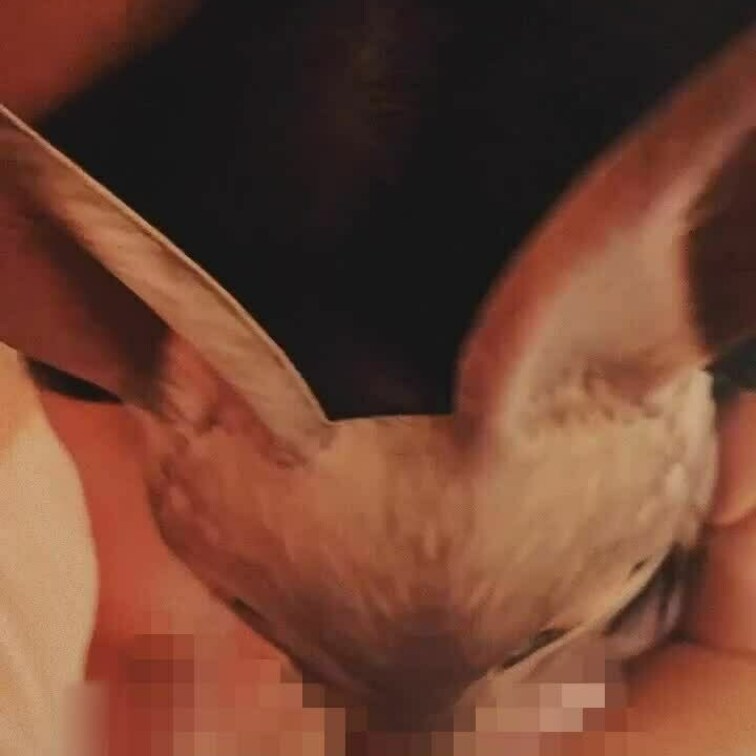 おえおえおう！おえおえおう！
おえおえおえ！
人妻を口オナホにして、喉奥イラマが気持ちええんじゃ。