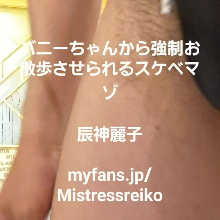 バニーちゃんからお散歩させられるスケベマゾ(笑)さっさと歩かないとチンポが大変なことになるわよ(笑)