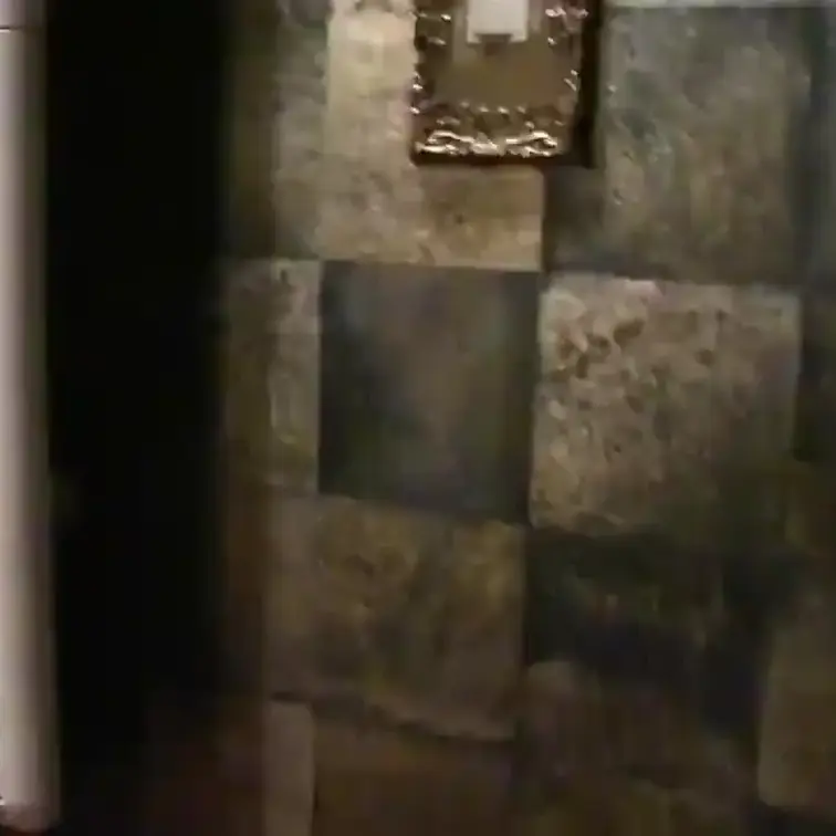 ※こちらの商品説明は、可能な限り映像委託者から映像と共に頂いたテキストを元にしておりますが、一部、再構成しております。