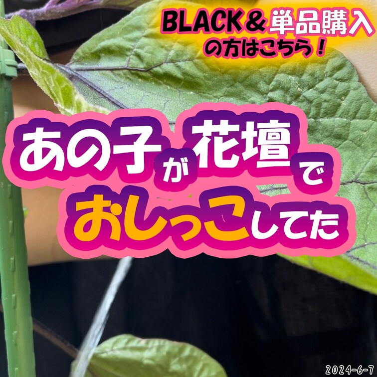 2024-6-7
💖あの子が花壇でおしっこしてた💖
A子ちゃん「学校のみんなで育ててる野菜におしっこしてる人がいたん