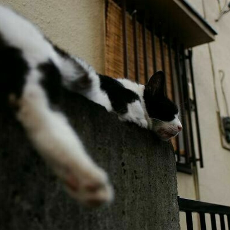 あんよ