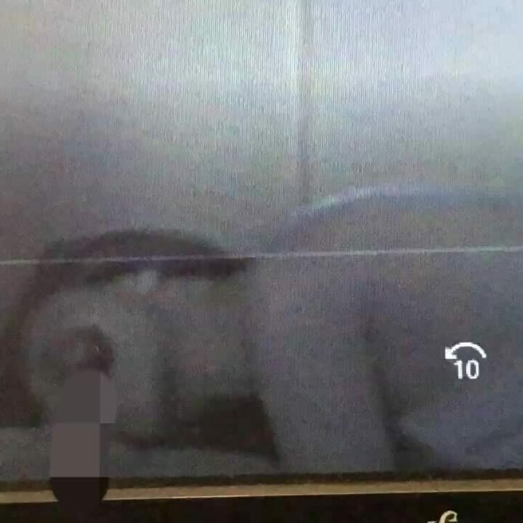 妻が私のをフェラやアナル舐めをしてるシーンです。
モザイクで見えにくいと思いますが悪しからず。
