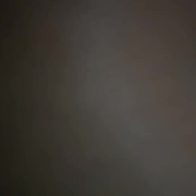 こっそり撮影