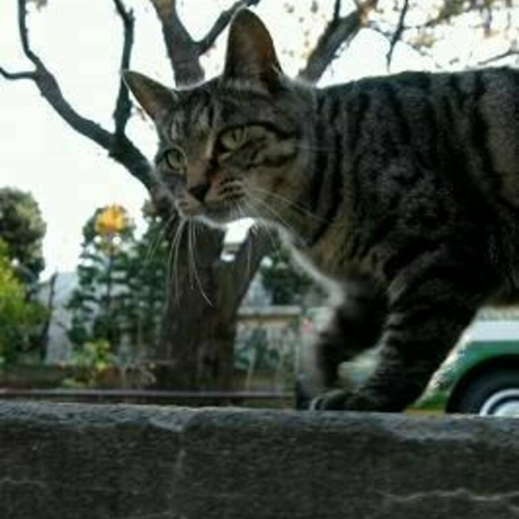 これはどこだろう?