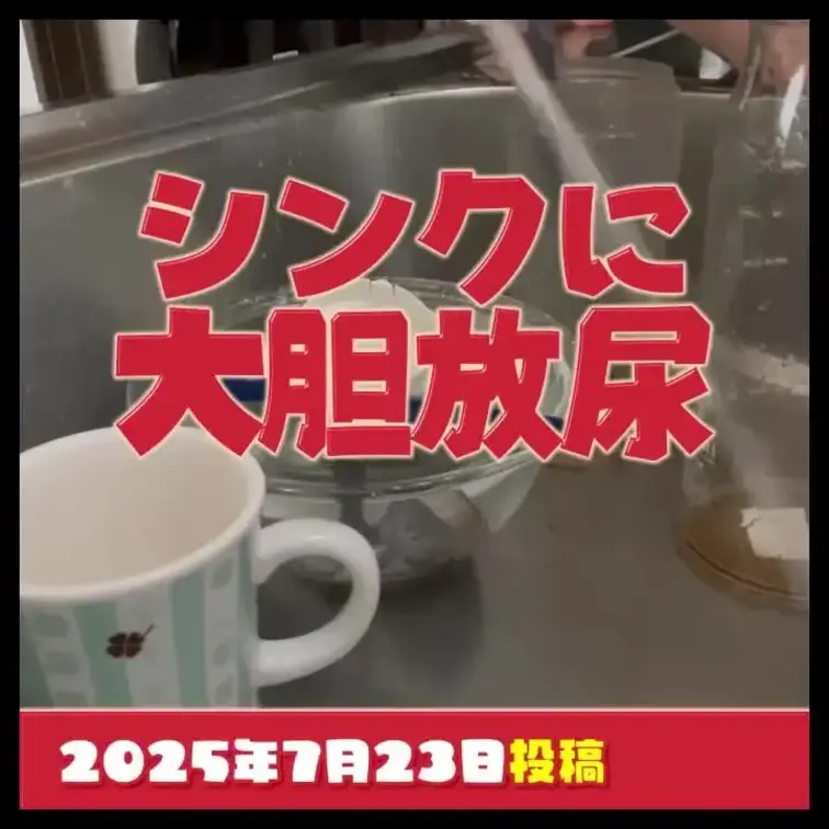2025-7-22
キッチンのシンクに大胆放尿
「タブー」を犯すような大胆さが刺激的だったぁ～！
---
Bol