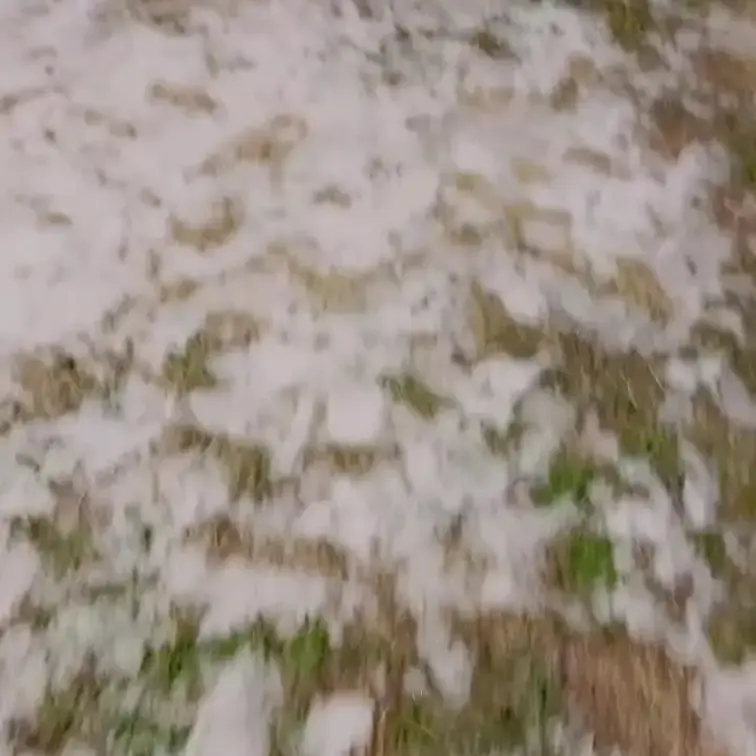 雪におしっこは冬は必ずしておきたかったりします・・・♡