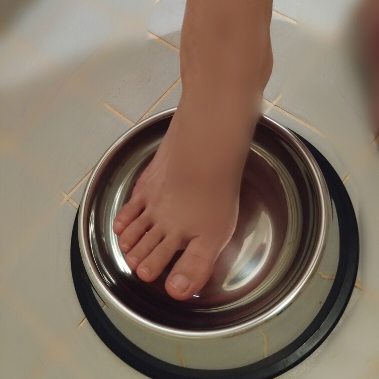 動画は今日お預けね
駄犬は待て出来るわよね?