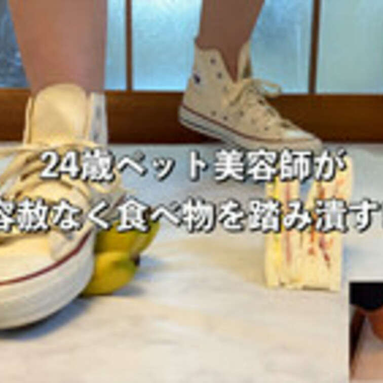 FC16【フードクラッシュ‼︎】超可愛いペット専用美容師がコンバースで食べ物を容赦なく踏み潰す‼︎