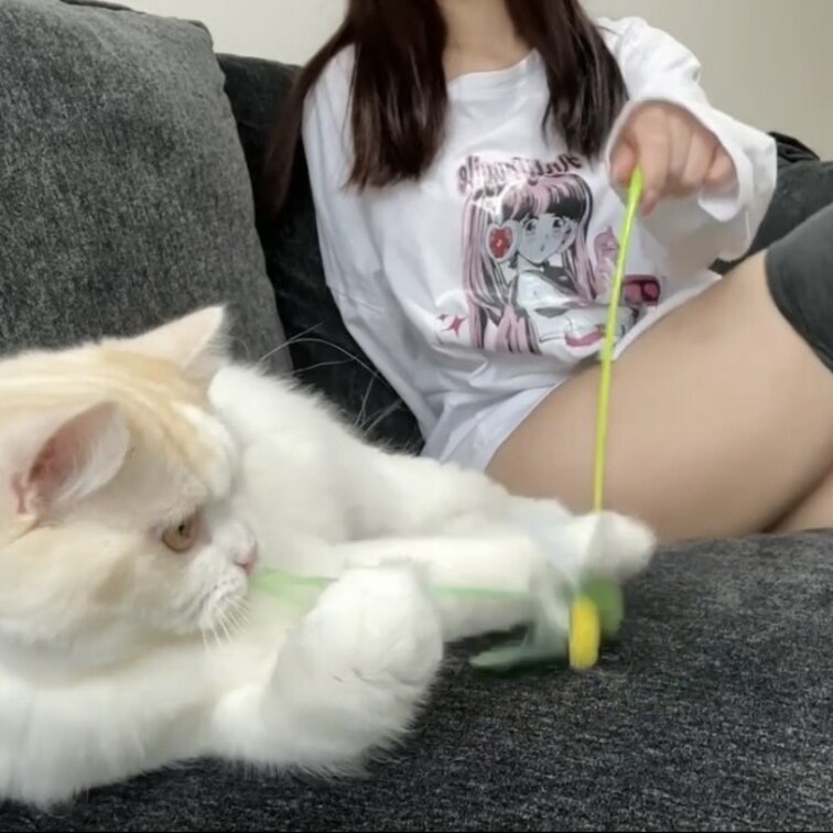 うちの猫目線、、、、、
お休みの日の過ごし方。。 (1/2)